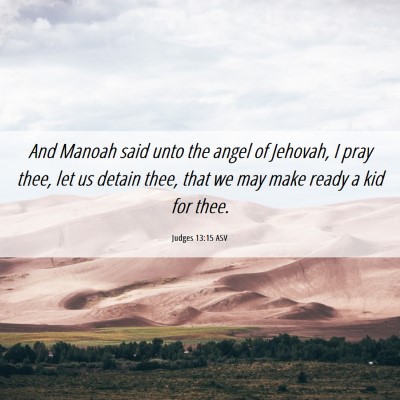 Picture 06 - Judges 13:15 ASV - And Manoah said unto the angel of Jehovah, I pray - Bible Verse Picture