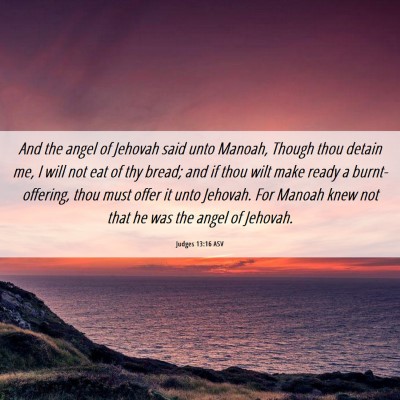 Picture 06 - Judges 13:16 ASV - And the angel of Jehovah said unto Manoah, Though - Bible Verse Picture