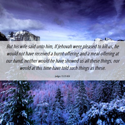 Picture 06 - Judges 13:23 ASV - But his wife said unto him, If Jehovah were - Bible Verse Picture