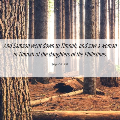 Picture 06 - Judges 14:1 ASV - And Samson went down to Timnah, and saw a woman - Bible Verse Picture