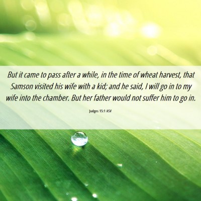 Picture 06 - Judges 15:1 ASV - But it came to pass after a while, in the time of - Bible Verse Picture