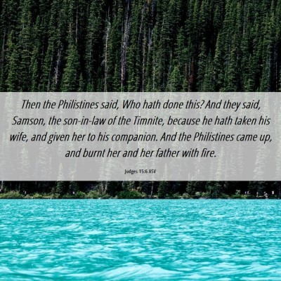 Picture 06 - Judges 15:6 ASV - Then the Philistines said, Who hath done this? - Bible Verse Picture