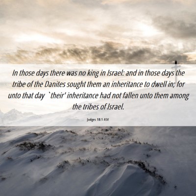 Picture 06 - Judges 18:1 ASV - In those days there was no king in Israel: and in - Bible Verse Picture