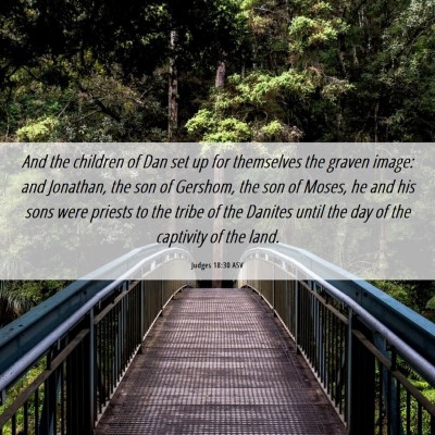 Picture 06 - Judges 18:30 ASV - And the children of Dan set up for themselves the - Bible Verse Picture