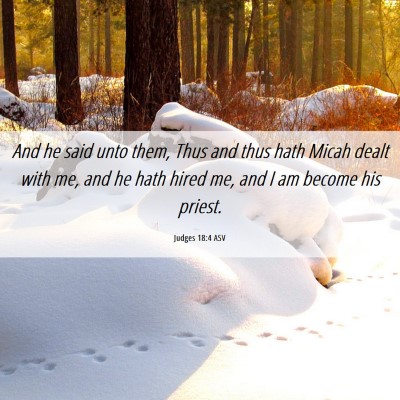 Picture 06 - Judges 18:4 ASV - And he said unto them, Thus and thus hath Micah - Bible Verse Picture