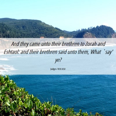Picture 06 - Judges 18:8 ASV - And they came unto their brethren to Zorah and - Bible Verse Picture