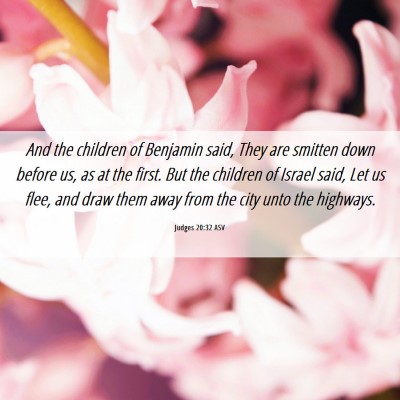 Picture 06 - Judges 20:32 ASV - And the children of Benjamin said, They are - Bible Verse Picture
