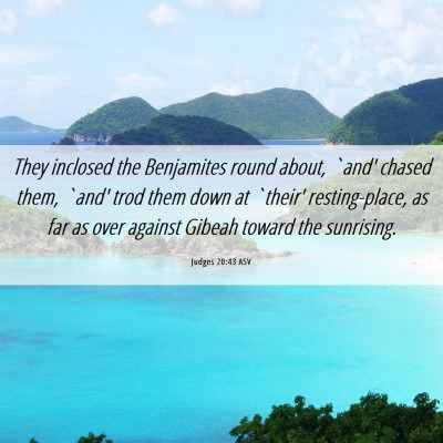 Picture 06 - Judges 20:43 ASV - They inclosed the Benjamites round about, `and' - Bible Verse Picture
