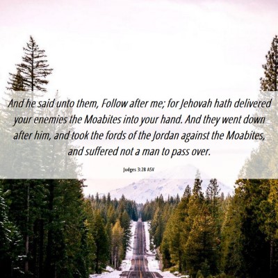 Picture 06 - Judges 3:28 ASV - And he said unto them, Follow after me; for - Bible Verse Picture