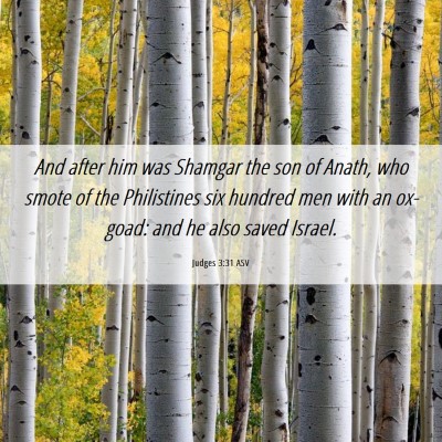 Picture 06 - Judges 3:31 ASV - And after him was Shamgar the son of Anath, who - Bible Verse Picture