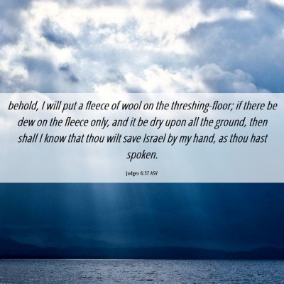 Picture 06 - Judges 6:37 ASV - behold, I will put a fleece of wool on the - Bible Verse Picture