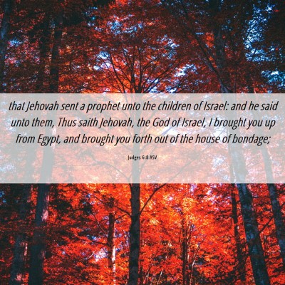 Picture 06 - Judges 6:8 ASV - that Jehovah sent a prophet unto the children of - Bible Verse Picture