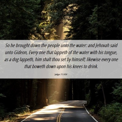 Picture 06 - Judges 7:5 ASV - So he brought down the people unto the water: and - Bible Verse Picture