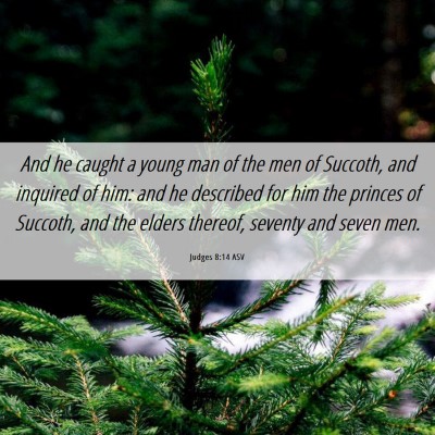 Picture 06 - Judges 8:14 ASV - And he caught a young man of the men of Succoth, - Bible Verse Picture