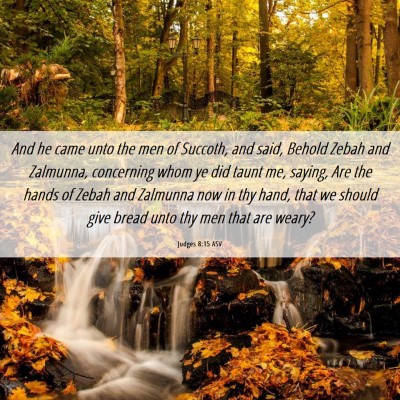 Picture 06 - Judges 8:15 ASV - And he came unto the men of Succoth, and said, - Bible Verse Picture