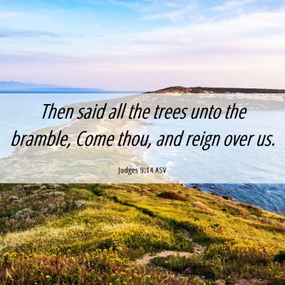 Picture 06 - Judges 9:14 ASV - Then said all the trees unto the bramble, Come - Bible Verse Picture