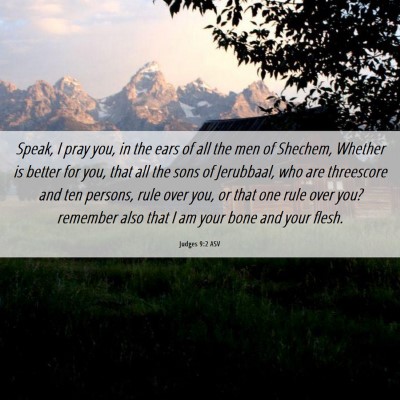 Picture 06 - Judges 9:2 ASV - Speak, I pray you, in the ears of all the men of - Bible Verse Picture