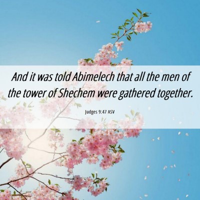 Picture 06 - Judges 9:47 ASV - And it was told Abimelech that all the men of the - Bible Verse Picture