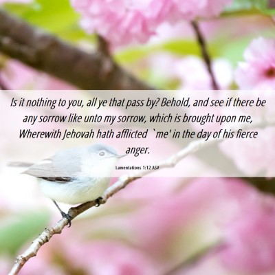 Picture 06 - Lamentations 1:12 ASV - Is it nothing to you, all ye that pass by? - Bible Verse Picture