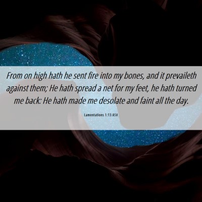Picture 06 - Lamentations 1:13 ASV - From on high hath he sent fire into my bones, and - Bible Verse Picture
