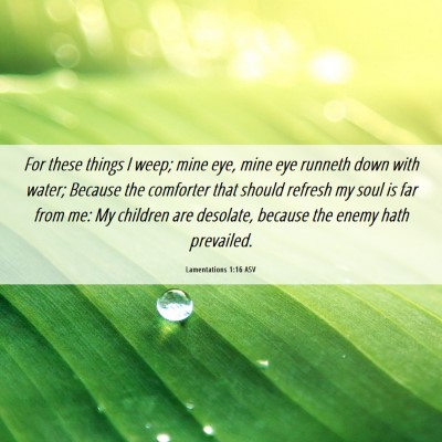 Picture 06 - Lamentations 1:16 ASV - For these things I weep; mine eye, mine eye - Bible Verse Picture