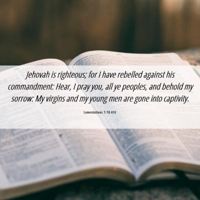Picture 06 - Lamentations 1:18 ASV - Jehovah is righteous; for I have rebelled against - Bible Verse Picture