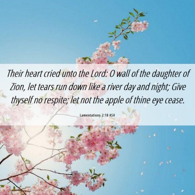 Picture 06 - Lamentations 2:18 ASV - Their heart cried unto the Lord: O wall of the - Bible Verse Picture