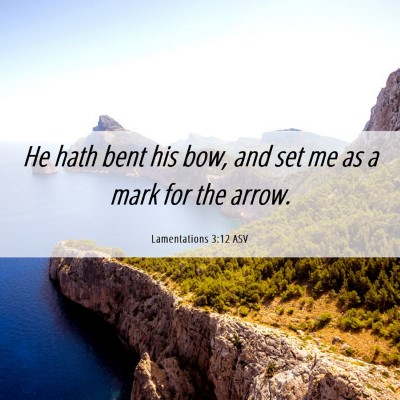 Picture 06 - Lamentations 3:12 ASV - He hath bent his bow, and set me as a mark for - Bible Verse Picture