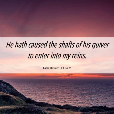 Picture 06 - Lamentations 3:13 ASV - He hath caused the shafts of his quiver to enter - Bible Verse Picture