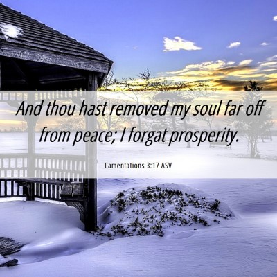 Picture 06 - Lamentations 3:17 ASV - And thou hast removed my soul far off from peace; - Bible Verse Picture
