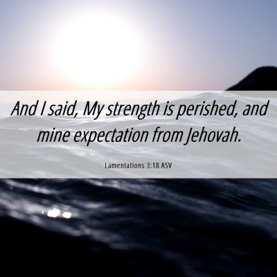 Picture 06 - Lamentations 3:18 ASV - And I said, My strength is perished, and mine - Bible Verse Picture