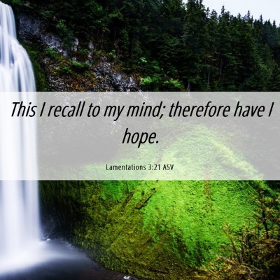 Picture 06 - Lamentations 3:21 ASV - This I recall to my mind; therefore have I - Bible Verse Picture