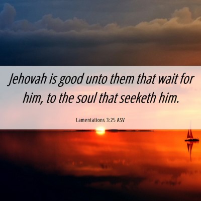 Picture 06 - Lamentations 3:25 ASV - Jehovah is good unto them that wait for him, to - Bible Verse Picture