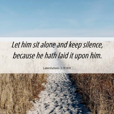 Picture 06 - Lamentations 3:28 ASV - Let him sit alone and keep silence, because he - Bible Verse Picture