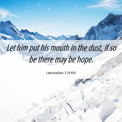 Picture 06 - Lamentations 3:29 ASV - Let him put his mouth in the dust, if so be there - Bible Verse Picture