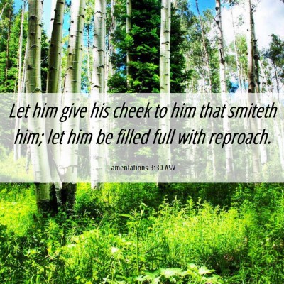 Picture 06 - Lamentations 3:30 ASV - Let him give his cheek to him that smiteth him; - Bible Verse Picture