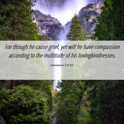 Picture 06 - Lamentations 3:32 ASV - For though he cause grief, yet will he have - Bible Verse Picture