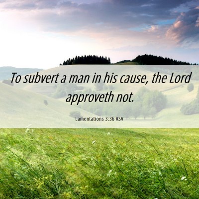 Picture 06 - Lamentations 3:36 ASV - To subvert a man in his cause, the Lord approveth - Bible Verse Picture
