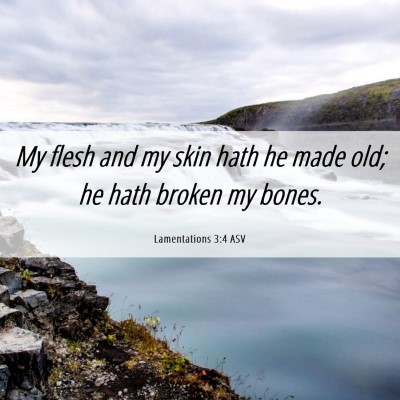 Picture 06 - Lamentations 3:4 ASV - My flesh and my skin hath he made old; he hath - Bible Verse Picture