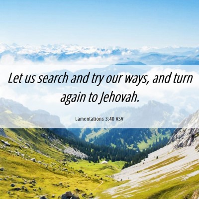 Picture 06 - Lamentations 3:40 ASV - Let us search and try our ways, and turn again to - Bible Verse Picture