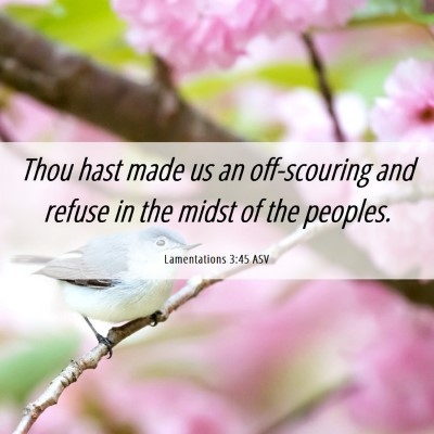 Picture 06 - Lamentations 3:45 ASV - Thou hast made us an off-scouring and refuse in - Bible Verse Picture