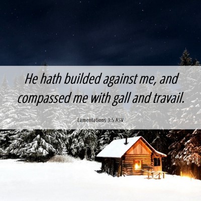 Picture 06 - Lamentations 3:5 ASV - He hath builded against me, and compassed me with - Bible Verse Picture