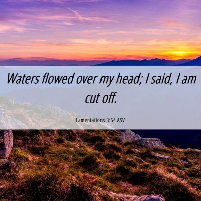 Picture 06 - Lamentations 3:54 ASV - Waters flowed over my head; I said, I am cut - Bible Verse Picture