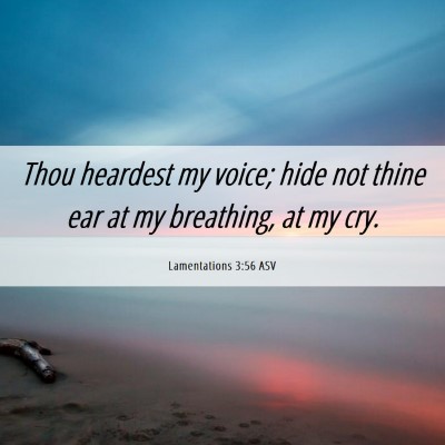 Picture 06 - Lamentations 3:56 ASV - Thou heardest my voice; hide not thine ear at my - Bible Verse Picture