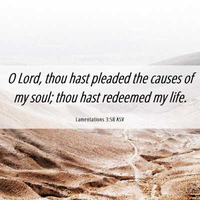 Picture 06 - Lamentations 3:58 ASV - O Lord, thou hast pleaded the causes of my soul; - Bible Verse Picture
