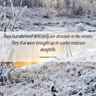 Picture 06 - Lamentations 4:5 ASV - They that did feed delicately are desolate in the - Bible Verse Picture