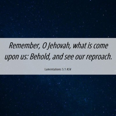 Picture 06 - Lamentations 5:1 ASV - Remember, O Jehovah, what is come upon us: - Bible Verse Picture