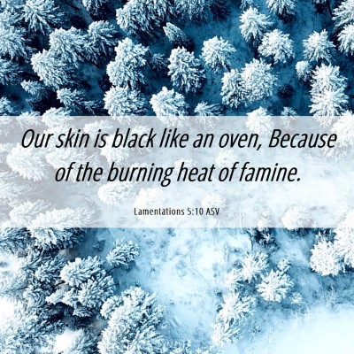 Picture 06 - Lamentations 5:10 ASV - Our skin is black like an oven, Because of the - Bible Verse Picture