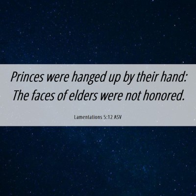 Picture 06 - Lamentations 5:12 ASV - Princes were hanged up by their hand: The faces - Bible Verse Picture