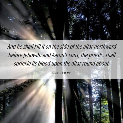 Picture 06 - Leviticus 1:11 ASV - And he shall kill it on the side of the altar - Bible Verse Picture